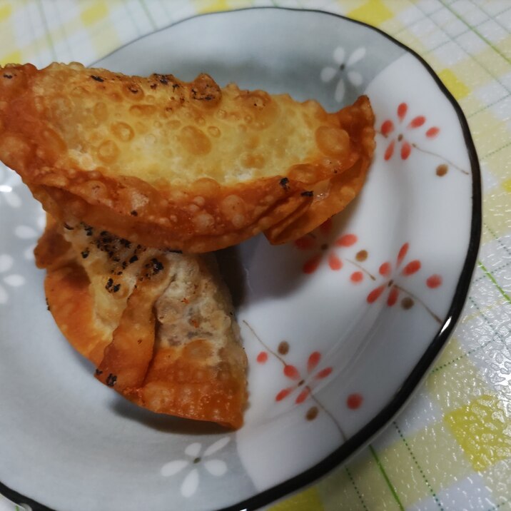 オートミールカレーとチーズの餃子の皮の包み揚げ